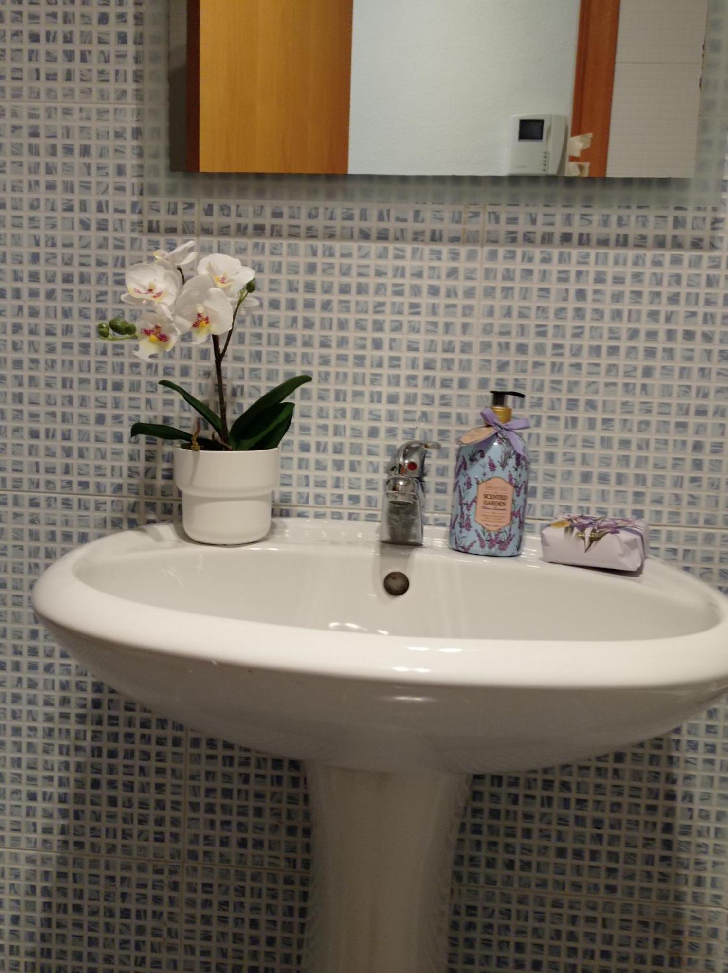 Penthouse With Solarium In The Center Of Malaga-Atico Con Solarium En El Centro De Malaga 아파트 외부 사진